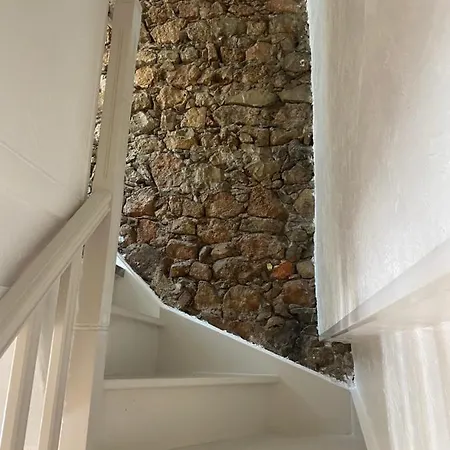 We ! Cocoon Duplex In Dowtown