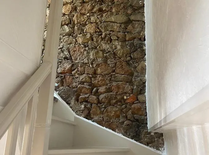 We ! Cocoon Duplex In Dowtown