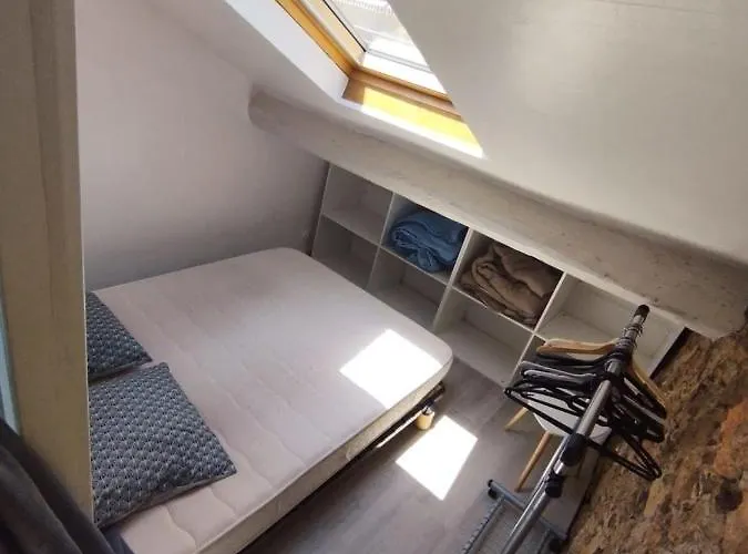 We ! Cocoon Duplex In Dowtown