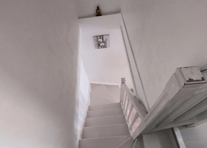 We ! Cocoon Duplex In Dowtown