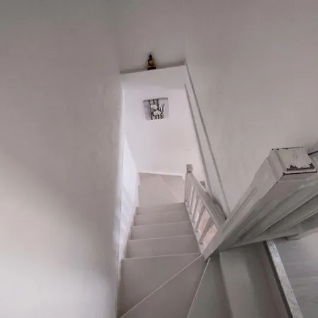 We ! Cocoon Duplex In Dowtown